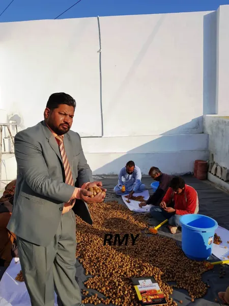 RMY Soap Nuts Factory,Has anyone tried using the soap nuts for cleaning your hair?,How to Make So... - image 3