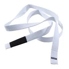 RMY Jiu-Jitsu White Belts,RMY BJJ White Belts - image 1