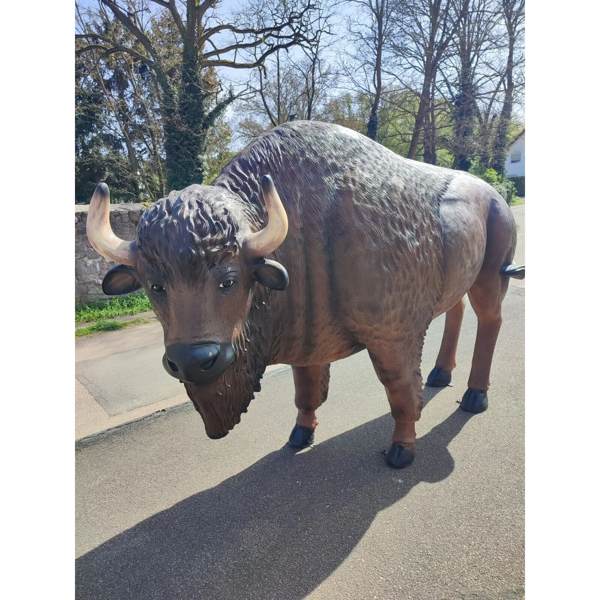 Bison1.webp