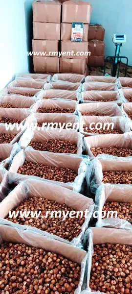 RMY Soap Nuts Shells 40kg,RMY soap nut bulk,How should nuts be stored - image 1