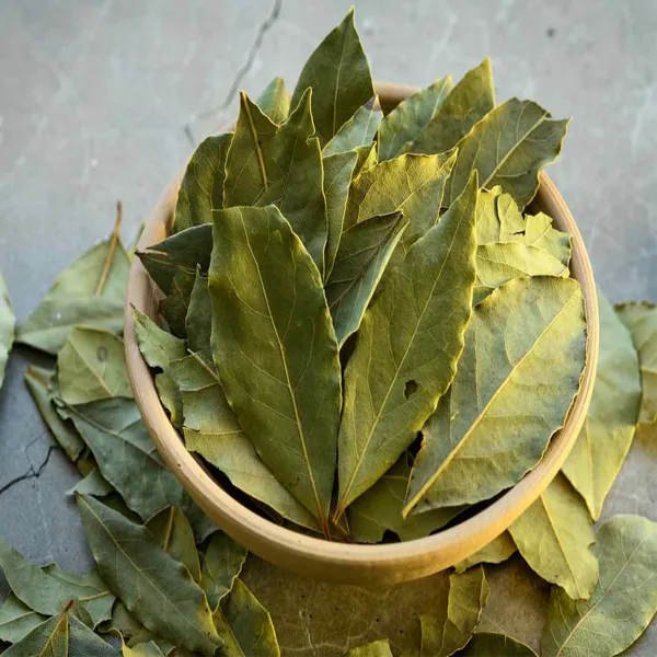 Amazing Health Benefits of using Bay Leaf | What Are Bay Leaves? | How can bay leaves benefit you? - image 1