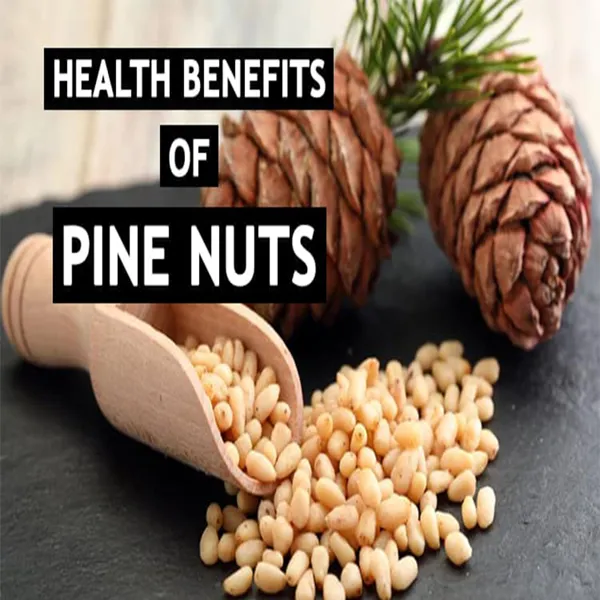 RMY Pine Nut Benefits , Unsalted, Naturally Gluten Free, No Preservatives, Non-GMO - image 1