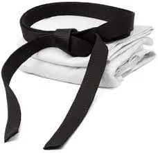 RMY Hapkido Black Belts,RMY Briliant Quality Hapkido Belts,RMY Hapkido Belts for Beginners,Pofess... - image 1