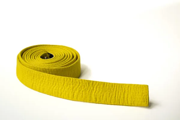 RMY Hapkido Yellow Belts,RMY Hapkido Belts for Begginers,Professionals etc - image 1