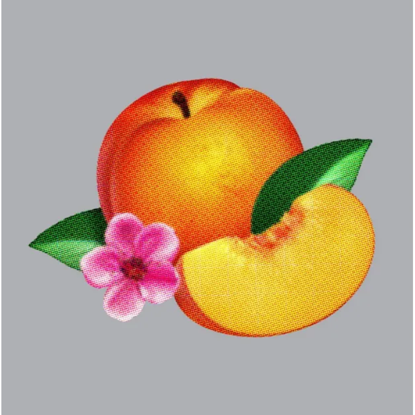 Screenshot_2025-12-25_14.16.58.webp