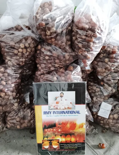 Soap Nut Shell Manufacturer from Pakistan,RMY 1kg Soap Nuts shells - image 1