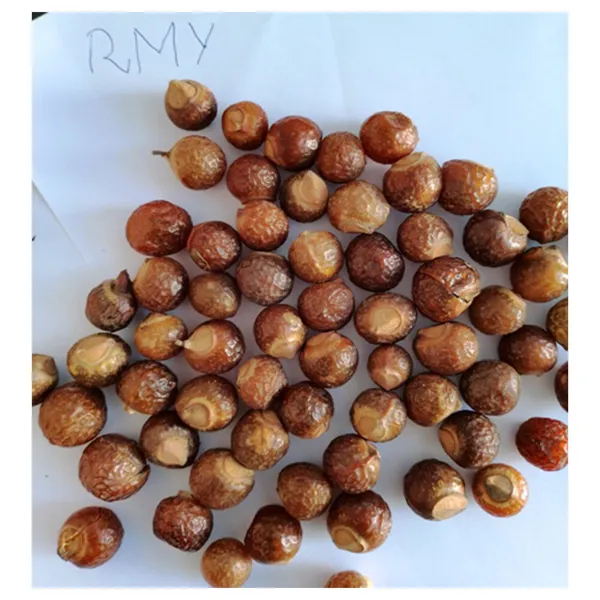 Soap Nut in PP Packaging,100g Soap Nuts for Hand Wash,How to Use RMY Soap Nuts Laundry Detergent,... - image 1
