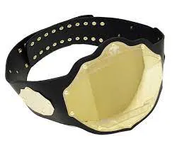 RMY Championship Belts,Customize Your Own Championship Belt,Customizable Championship Belt. - image 1