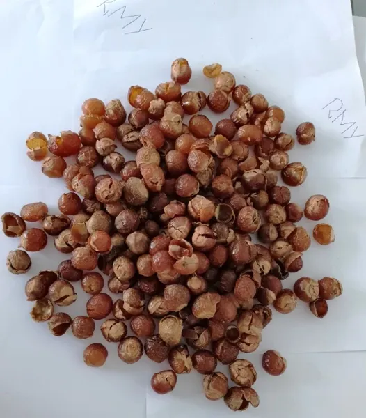 RMY 500g Soap Nuts Shells for Washing Cloths, RMY Soap nuts are deshelled?Are soap nut shell good... - image 1
