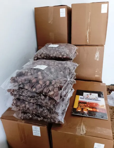 RMY Soap Nuts Shells for laundry,Soapnut Shells Organic,Soap Nut Shells 1 kg - image 1
