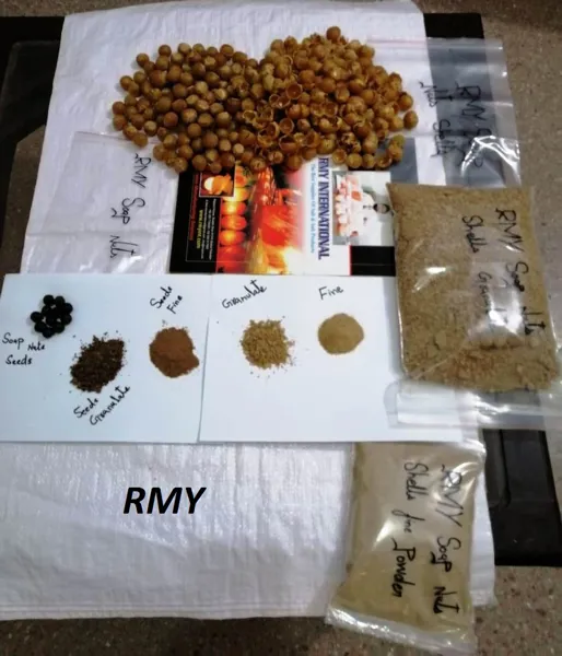 RMY Golden Brown Shell Seeds Powder,Certified Organic Soap Nuts Half Shells,soap nuts for face wash - image 1