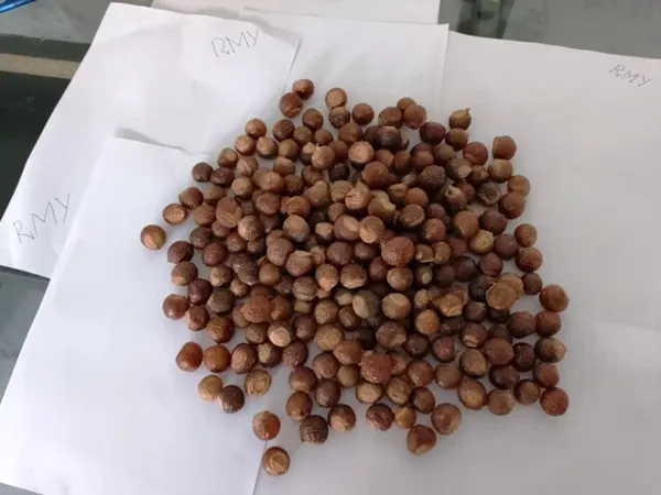 Soap Nuts for Hair Growth, RMY 500g Soap Nuts with Pp Packaging,Are Soap Nuts Good at Getting Rid...