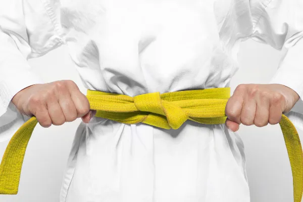 RMY Karate Yellow Belts,RMY Karate Uniform Belts - image 1