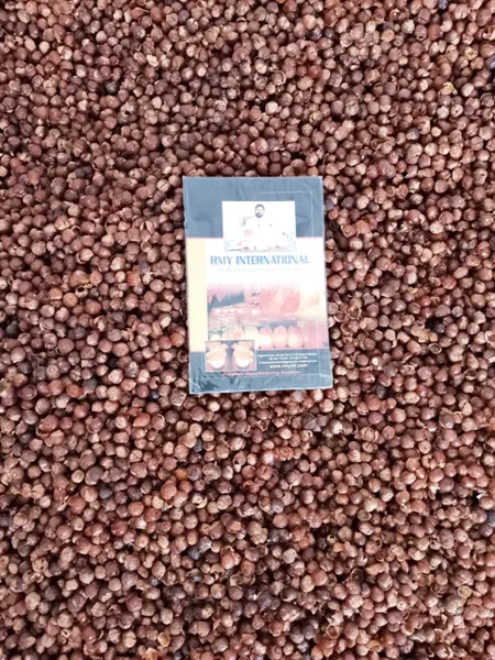 Soap Berry-Wash Nut-Washnut-Soapnut – Soapberries, RMY Soap Nuts Factory,Are the  soap nuts... - image 2