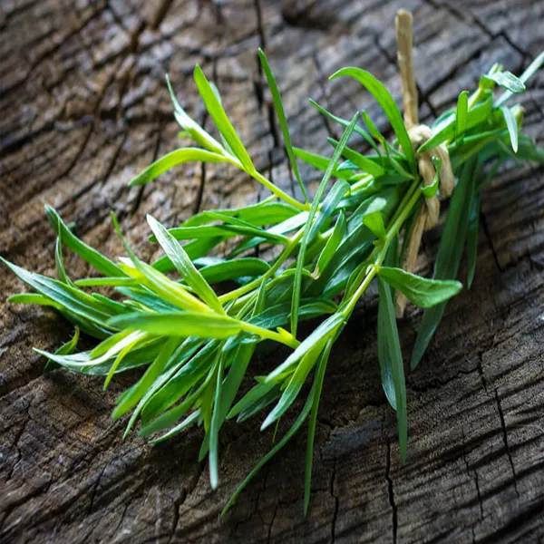RMY Tarragon | Description, Herb, Uses, Flavor,  Benefits - image 1