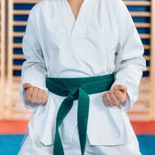 RMY Taekwondo Green Belts,RMY Taekwondo Belts - image 1