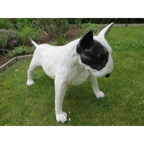 Bullterrier__FA449_.webp