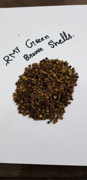 RMY Herbs And Spices 1