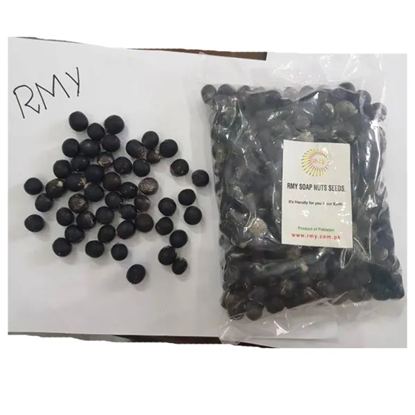 RMY 1kg Soap nuts Seeds ,RMY Soap Berries seeds,RMY Soap Nuts Seeds Uses - image 2