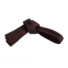 RMY Taekwondo Brown Belts and Black Stripes,RMY Amaing Quality Taekwondo Belts - image 1