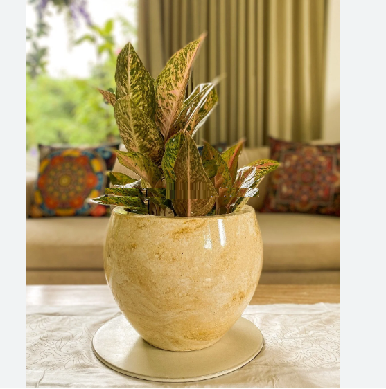 RMY Indus Gold Marble Planters,Gold Marble Planter,Marble Planter,Gold Marble Planters,Marble Pla... - image 1