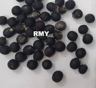RMY 2kg Seeds of Soap Nuts,RMY Soap Berry Seeds,Certified Organic Soap Nuts Half . - image 2
