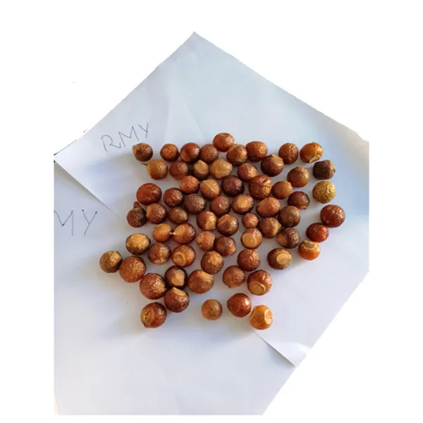 Soap Nut in PP Packaging,100g Soap Nuts for Hand Wash,How to Use RMY Soap Nuts Laundry Detergent,... - image 2
