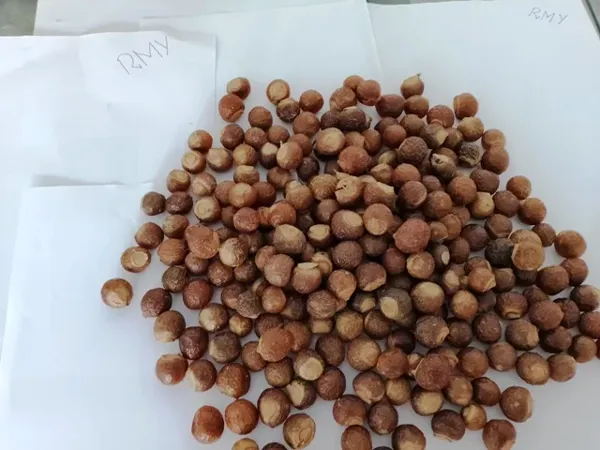 Soap Nuts For Medicine,RMY 1kg Soap Berries ,Are RMY Soap Nuts good at getting rid of stains?How ... - image 1