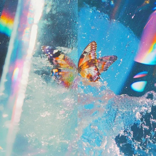 Screenshot_2026-02-14_23.21.30.webp