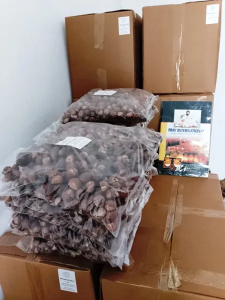 RMY Wash Nuts Shells PP Packaging 1kg - image 1