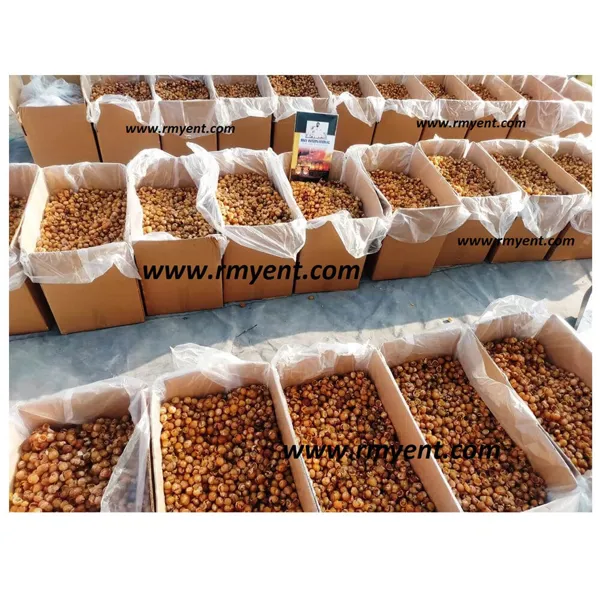 RMY 25kg Soap Berries,soap nuts  for Eco Friendly,How to Wash Clothes with Soap Nuts,How to Make ... - image 1