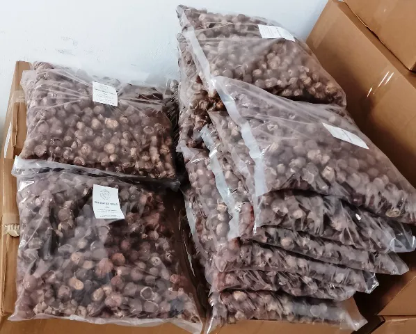 Soap Nuts Shells 500g,RMY 500g Soap Nuts Shells in PP Packaging,Soap Nuts Shells For shampoo ,Soa... - image 1