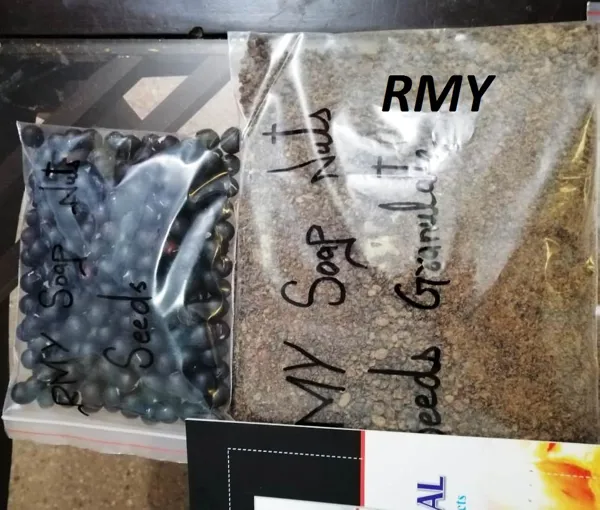 RMY Soap Nuts Seeds Granulate Powder,What exactly are soap nuts seeds ,What the heck are soap nut... - image 1