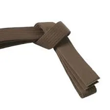 RMY Taekwondo Brown Belts,RMY Taekwondo Belts - image 1