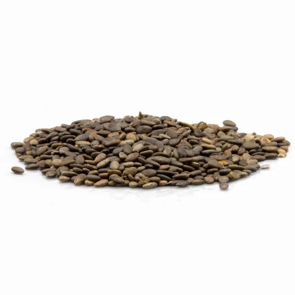RMY Bitter Apple Seed, RMY Bitter Apple Benefits Seed, RMY Bitter Apple Nutrition Seed. - image 1