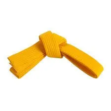 RMY Taekwondo Yellow Belts,RMY Amazing Quality Taekwondo Belts - image 1