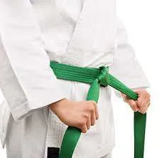 RMY Hapkido Green Belts,RMY Hapkido Belts for Training,Competition etc - image 1