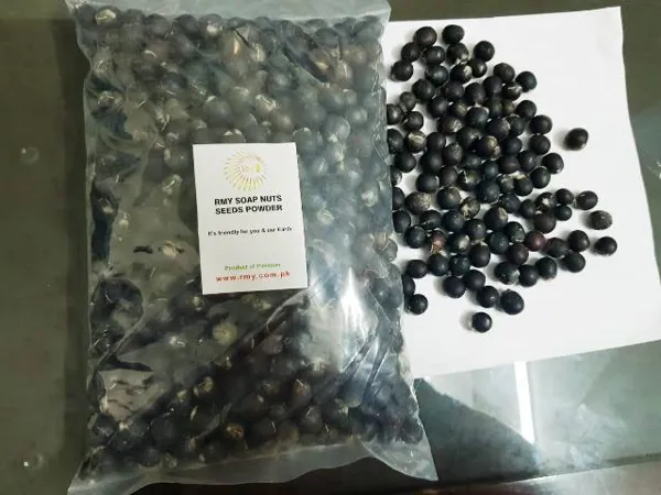 RMY Soap Nuts Seeds In pp Bags - image 1