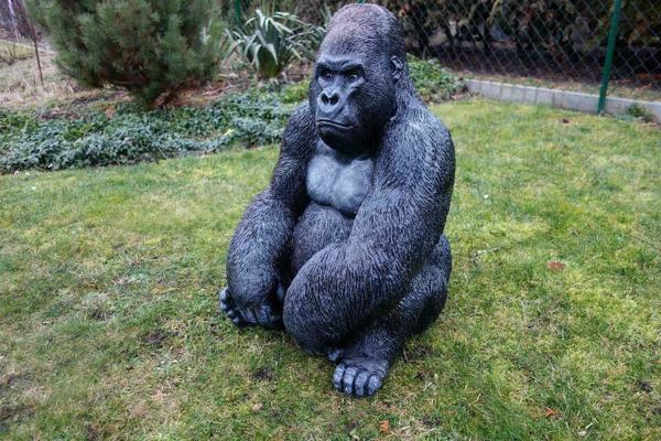 gorillakind1.JPG