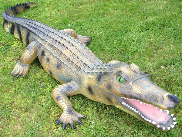 Alligator_XXl_-_FA268.png