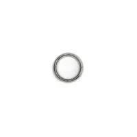 bondage-play-steel-cock-ring-r737745-clr737745.jpg
