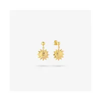 ladies-earrings-radiant-ry000149-s0800622-bbs0800622.jpg