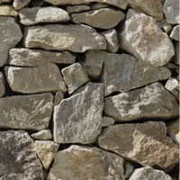 steine.webp