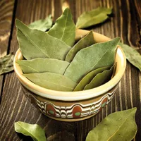 Amazing Health Benefits of using Bay Leaf | What Are Bay Leaves? | How can bay leaves benefit you? - image 2