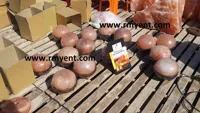 RMY Himalayan Pink Salt Foot Dome,Himalayan Salt Foot Lamp,What is a Foot Detox Dome Lamp and How... - image 3