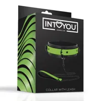 glow-in-the-dark-collar-with-leash-sl-153-clsl-153.jpg