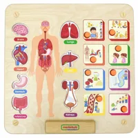 MASTERKIDZ-Tablica-Edukacyjna-Uklad-Ciala-Ludzkiego-Montessori__1279188__1200.jpg