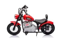 Motor-Na-Akumulator-A9902-36V-Czerwony__1105849__1200.jpg
