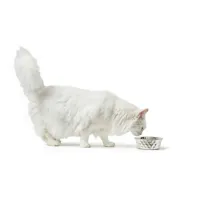 dog-feeder-hunter-silicone-stainless-steel-105-l-s6104455-bbs6104455.jpg