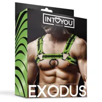 glow-in-the-dark-bondage-chest-harness-sl-000-clsl-000.jpg